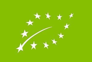 Logotipo Europa